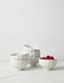 Aparte Fruit Bowls (Set Of 6) By Costa Nova