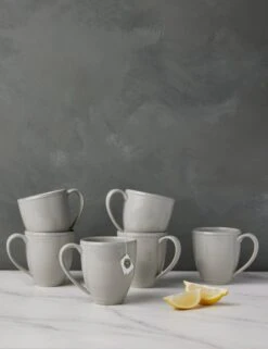 Friso Mugs (Set Of 2) By Costa Nova 11 Friso Mugs (Set Of 2) By Costa Nova -TableTrove Sales Store CostaNovaFrisoMugs Gray Setof6 0220 dec08041 8367 47a7 a029 4ca3b04999b8