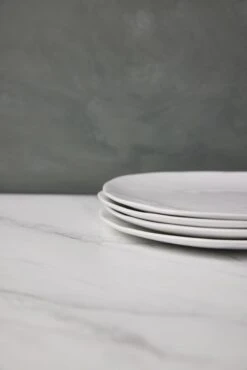 Organic Dinner Plates (Set Of 4) By Hawkins New York -TableTrove Sales Store HawkinsNewYorkOrganicDinnerwareSetof4DinnerPlates 0503