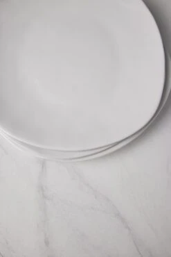 Organic Dinner Plates (Set Of 4) By Hawkins New York -TableTrove Sales Store HawkinsNewYorkOrganicDinnerwareSetof4DinnerPlates 0506