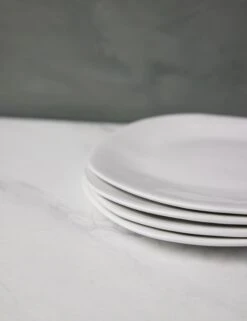 Organic Salad Plates (Set Of 4) By Hawkins New York -TableTrove Sales Store HawkinsNewYorkOrganicDinnerwareSetof4SaladPlates 0514