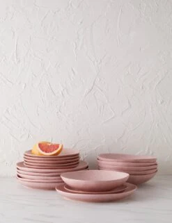 Livia Dinnerware (18-Piece Set) By Costa Nova -TableTrove Sales Store LiviaDinnerware 18 PieceSet byCasafina Rose L0467304 2172