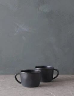 Livia Mug (Set Of 2) By Costa Nova 17 Livia Mug (Set Of 2) By Costa Nova -TableTrove Sales Store LiviaMug Setof2 byCasafina Black L0467327 2026