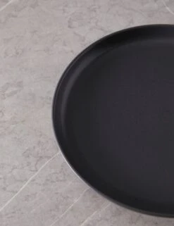 Pacifica Dinner Plates (Set Of 6) By Casafina 40 Pacifica Dinner Plates (Set Of 6) By Casafina -TableTrove Sales Store PacificaDinnerPlates Setof6 byCasafina SeedGray A06558281585