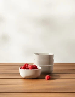 Pia Small Bowl (Set Of 4) By Ekobo 14 Pia Small Bowl (Set Of 4) By Ekobo -TableTrove Sales Store PiaSmallBowl Stone Setof4 3851