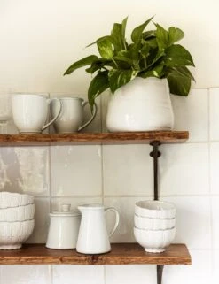 Friso Creamer, White By Costa Nova -TableTrove Sales Store TabletopShelfHero 11922 SITECROP d11e9a42 1895 45f8 b4d2 324b53b56198