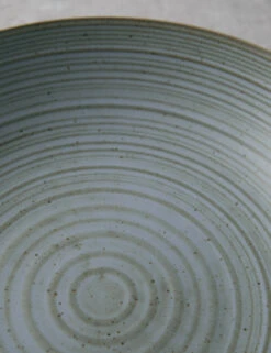 Nature Deep Plate By Thomas For Rosenthal 17 Nature Deep Plate By Thomas For Rosenthal -TableTrove Sales Store ThomasNatureDeepPlate Water 4508