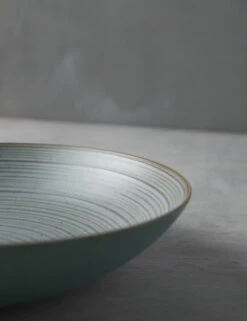 Nature Deep Plate By Thomas For Rosenthal 18 Nature Deep Plate By Thomas For Rosenthal -TableTrove Sales Store ThomasNatureDeepPlate Water 4509