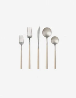Mito Flatware 5-Piece Set By Costa Nova -TableTrove Sales Store c20668 flatware set 5 pieces