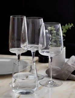 Vine Wine Glasses (Set Of 6) By Costa Nova -TableTrove Sales Store costa nova vine lifestyle image 5 Product