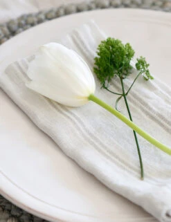 Mendocino Napkins (Set Of 4) By Pom Pom At Home -TableTrove Sales Store mendocino lifestyle copy